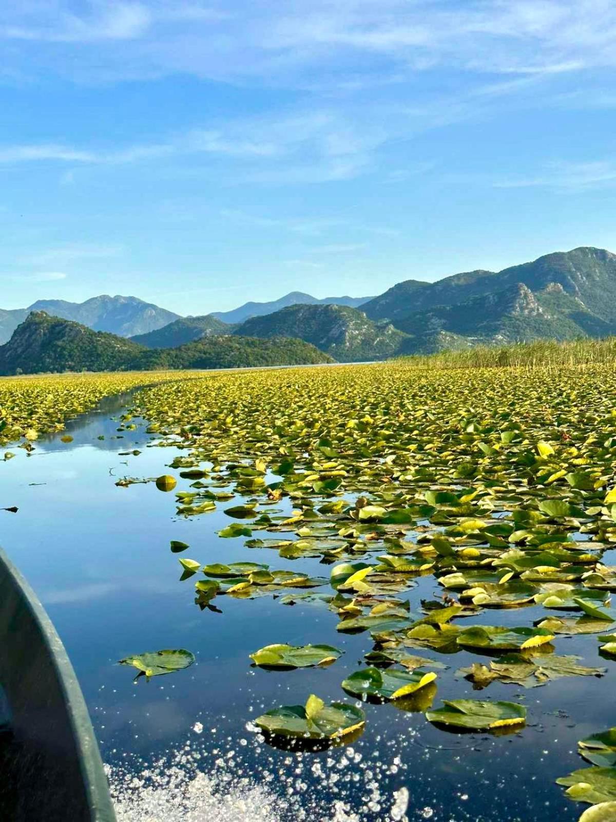 Casa Di Kiara, Skadar Lake Dodosi Eksteriør billede